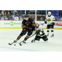 Vancouver Giants defenceman Mazden Leslie