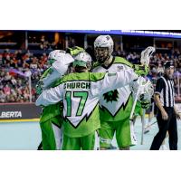 Saskatchewan Roughnecks' Robert Church celebrates with teammates