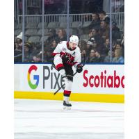 Belleville Senators celebrate a goal