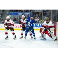 Belleville Senators goaltender Malcolm Subban vs. the Toronto Marlies