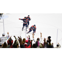 South Carolina Stingrays on the ice