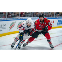 Springfield Thunderbirds' Dylan Peterson vesus Rockford IceHogs' Cavan Fitzgerald