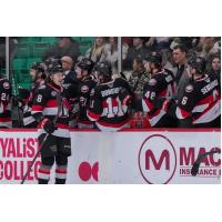 Belleville Senators talk along the bench