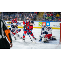 Springfield Thunderbirds center Nikita Alexandrov looks for a shot against the Hartford Wolf Pack