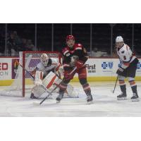 Grand Rapids Griffins right wing Carter Mazur vs. the Lehigh Valley Phantoms