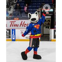 Niagara IceDogs mast Bones in his superhero jersey