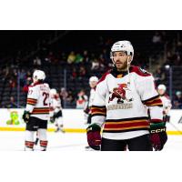 Tucson Roadrunners on the ice