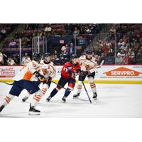 Greenville Swamp Rabbits and the South Carolina Stingrays on game night