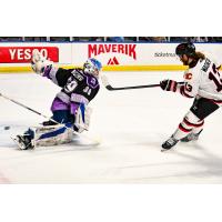 Utah Grizzlies' Jake Barczewski versus Rapid City Rush's Ryan Wagner