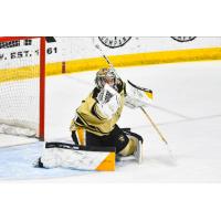 Wheeling Nailers in action