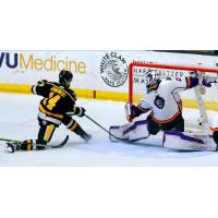 Wheeling Nailers forward David Jankowski scores against the Reading Royals