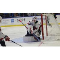 South Carolina Stingrays goaltender Garin Bjorklund