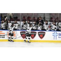 Wichita Thunder exchange congratulations along the bench