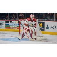 Grand Rapids Griffins goaltender Ville Husso