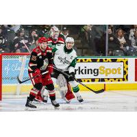 Grand Rapids Griffins defenseman Brogan Rafferty vs. the Texas Stars