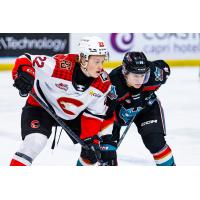 Kalder Varga of the Kelowna Rockets (right) vs. the Prince George Cougars