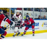 Kitchener Rangers battle the Guelph Storm