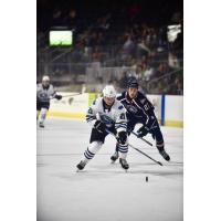 Wenatchee Wild defenseman Reid Andresen with the puck