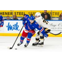 Kitchener Rangers' Adrian Misaljevic versus Sarnia Sting's Hughston Hurt