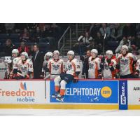 Flint Firebirds on game night