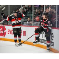 Belleville Senators' Jamieson Rees on game night