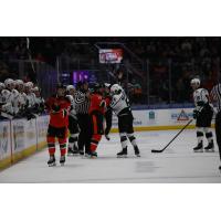 Kansas City Mavericks' Daniel Amesbury versus Utah Grizzlies' Brayden Nicholetts