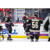 Tucson Roadrunners' Ben McCartney, Sammy Walker, Andrew Agozzino, and Kailer Yamamoto on game night