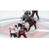 Adirondack Thunder face off with the Cincinnati Cyclones