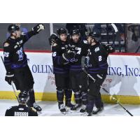 Orlando Solar Bears huddle following a goal