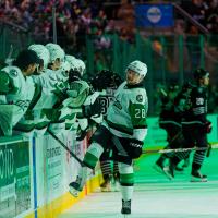 Texas Stars forward Matěj Blümel