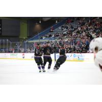 Tucson Roadrunners gather after a goal