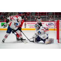 Springfield Thunderbirds goaltender Colten Ellis