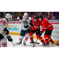 Springfield Thunderbirds battle for a puck against the Charlotte Checkers