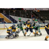 Florida Everblades look for a scoring opportunity against the Norfolk Admirals