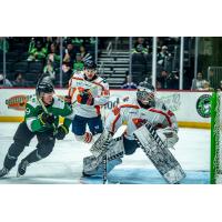 Greenville Swamp Rabbits' Stuart Rolofs and Jacob Ingham versus Savannah Ghost Pirates' Reece Vitelli