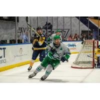 Florida Everblades' Carson Gicewicz and Norfolk Admirals' Graham Sward on the ice