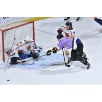 Greenville Swamp Rabbits' Kolby Hay versus Orlando Solar Bears' Mark Auk