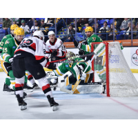 Belleville Senators battle the Wilkes-Barre Scranton Penguins