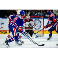 Tucson Roadrunners' Matthew Villalta battles Bakersfield Condors' Connor Corcoran and Derek Ryan