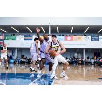 Delaware Blue Coats defend against the Indiana Mad Ants