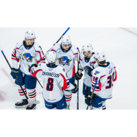 Springfield Thunderbirds gather after a goal