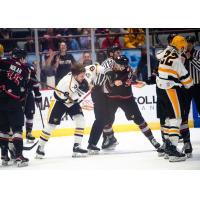 Wheeling Nailers fight with the Adirondack Thunder