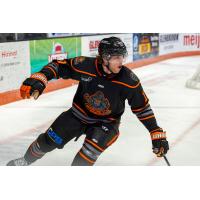 Forward Michael Gildon with the Fort Wayne Komets