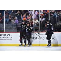 Orlando Solar Bears celebration