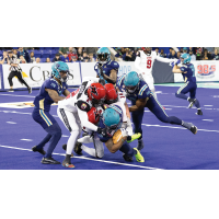Jacksonville Sharks battle the Massachusetts Pirates
