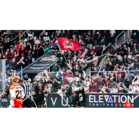 Albany Firewolves fans cheer on their team