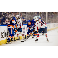 Springfield Thunderbirds and Bridgeport Islanders battle for the puck
