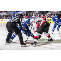 Belleville Senators face off with the Toronto Marlies