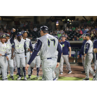 Columbia Fireflies' Manager David Noworyta and team