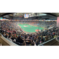 A big crowd watches the Albany Firewolves